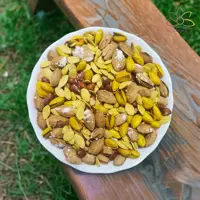 آجیل ممتاز شور شاه تگ - 5 کیلوگرم ارسال رایگان 