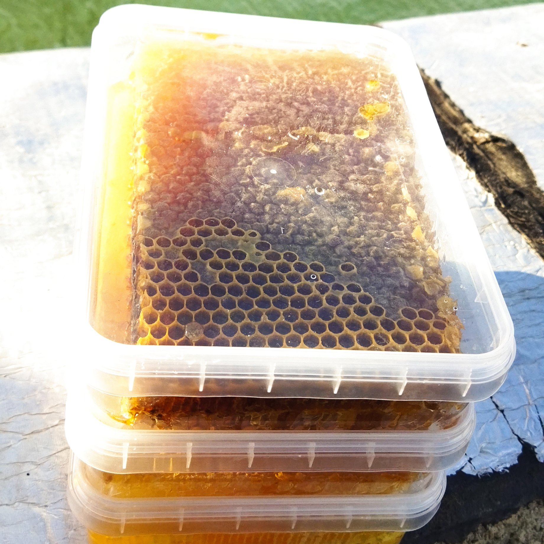 عسل موم دار 100٪ طبیعی