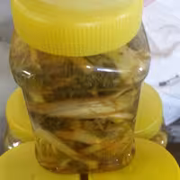 ترشی کنگر کوهی چهارگل چهارمحال وبختیاری