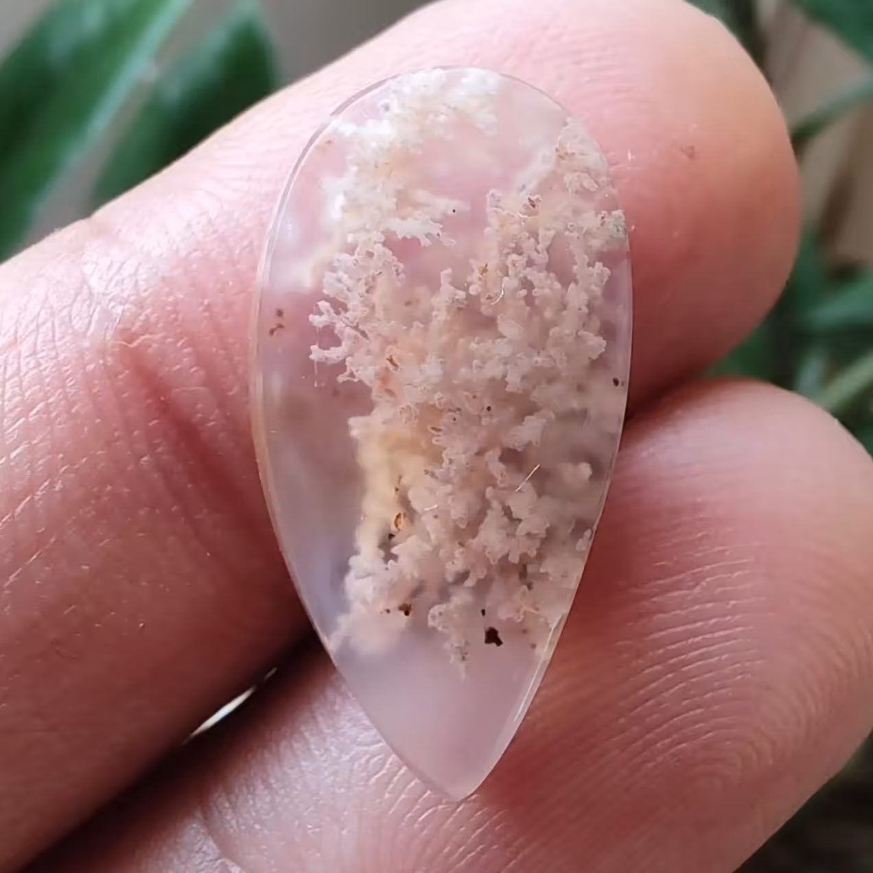 نگین عقیق شجر بهاری اشکی