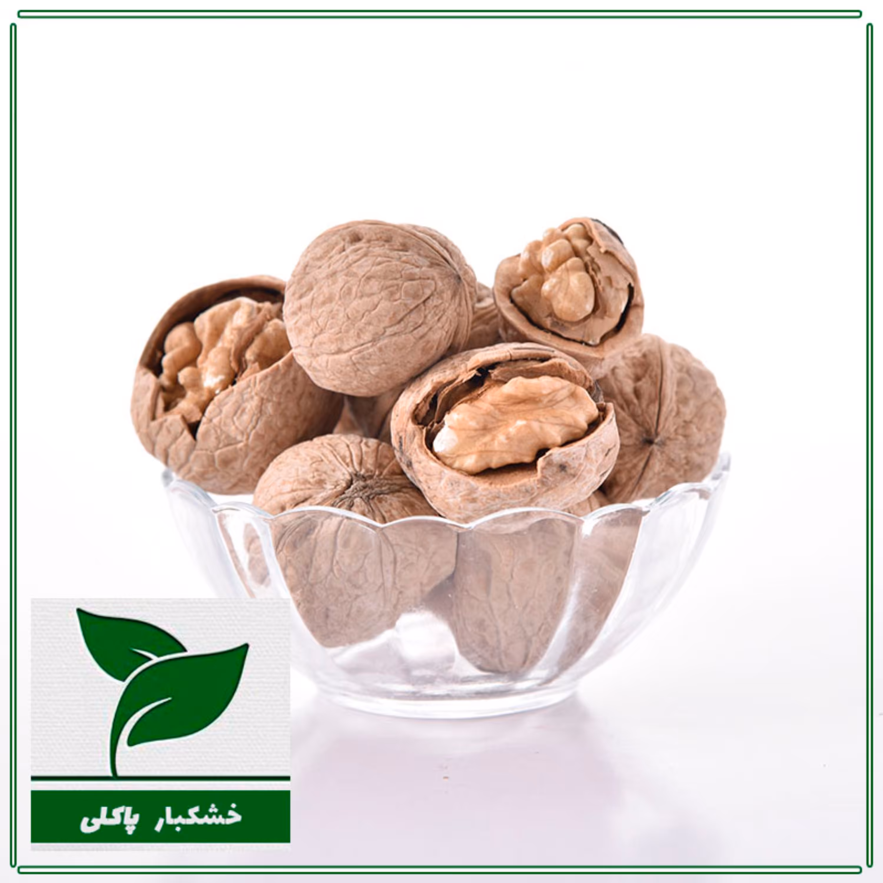 گردو  با پوست مراغه امسالی پُرمغز و پرچرب  ایرانی