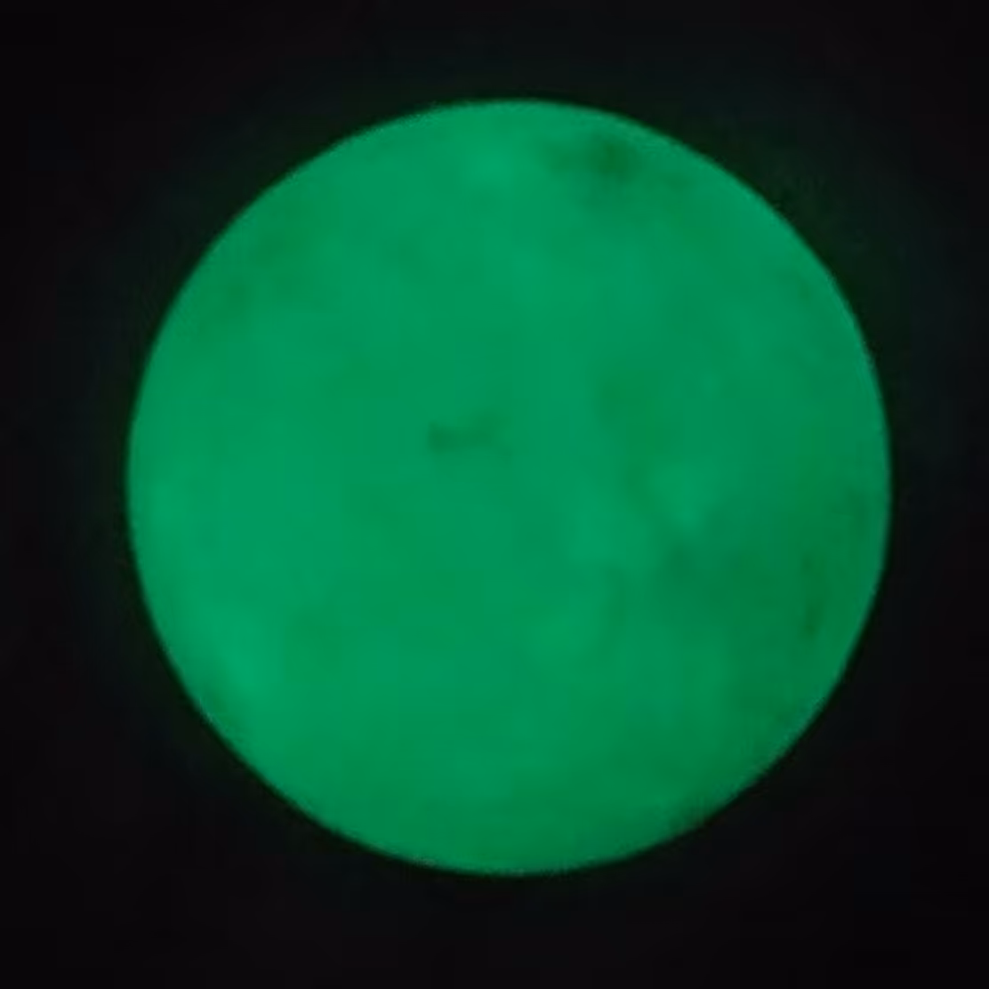 گوی شب چراغ گوی شب نما گوی شب تاب