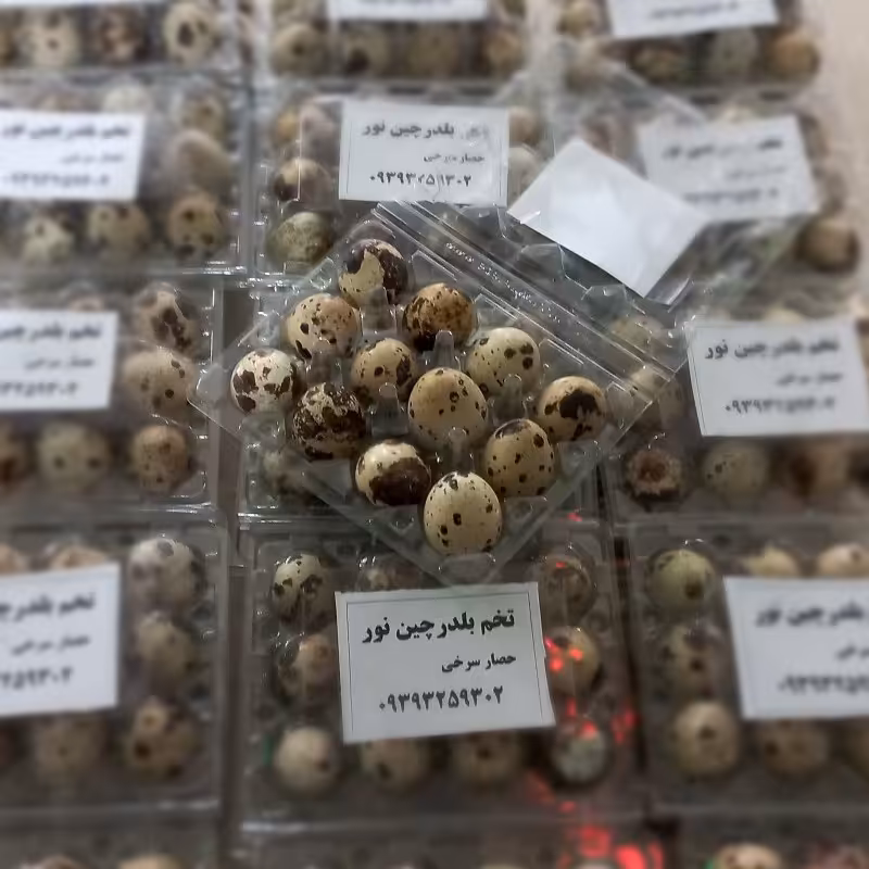 تخم بلدرچین خوراکی بسته های 24تایی