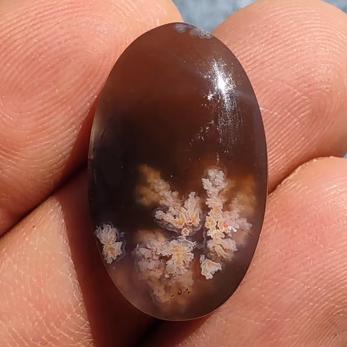 نگین عقیق شجر بهاری زمینه خرمایی