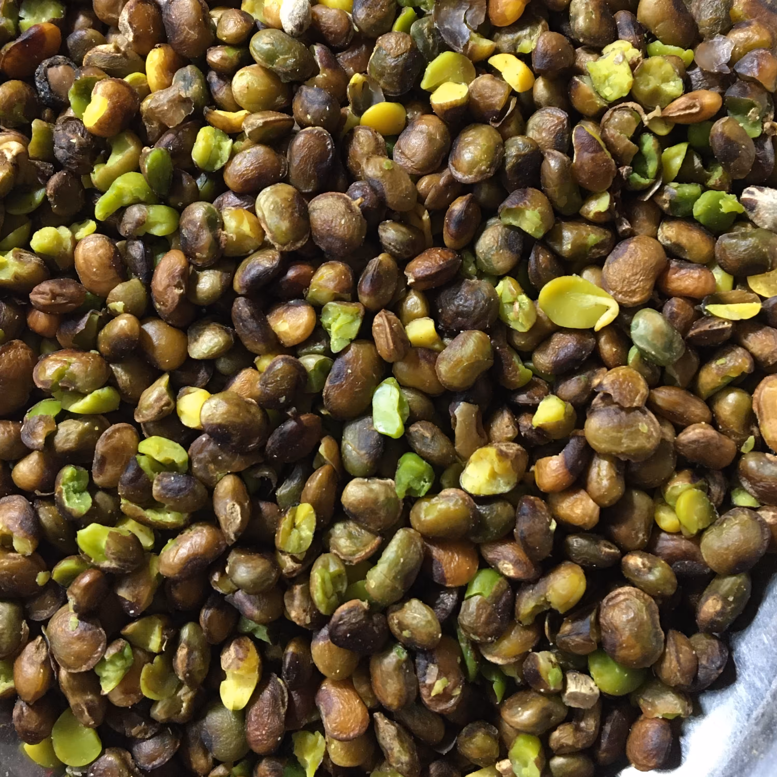 مغز بنه500 گرم (پسته کوهی)