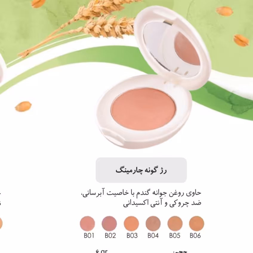 رژگونه چهارمینگ شون شماره 5(حاوی روغن جوانه گندم)