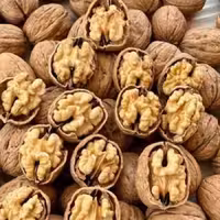 گردو درجه یک 