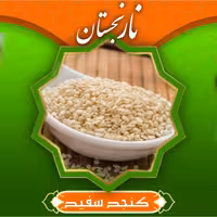 کنجد خارجی سفید (100گرم) نارنجستان