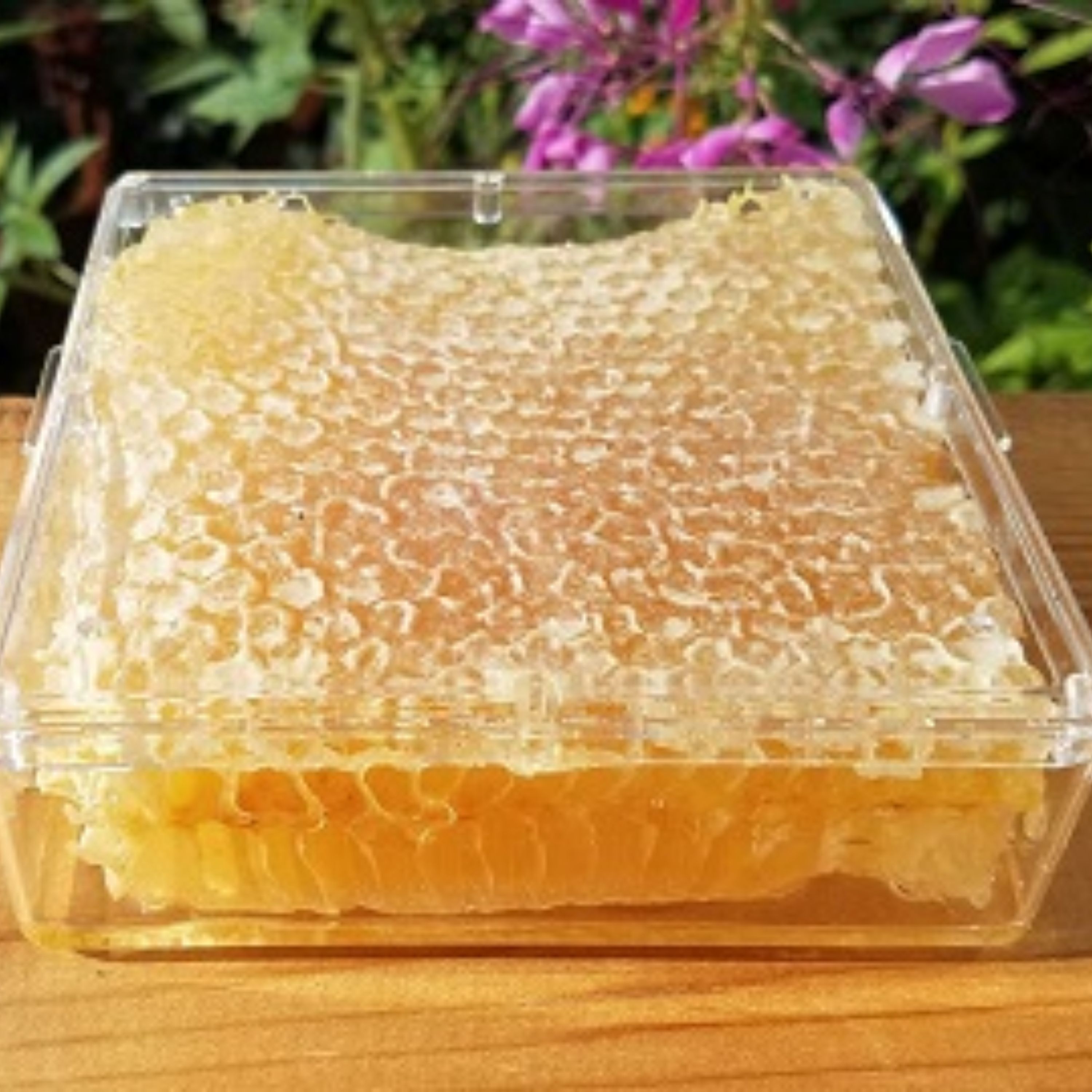 عسل مومدار خوانسار