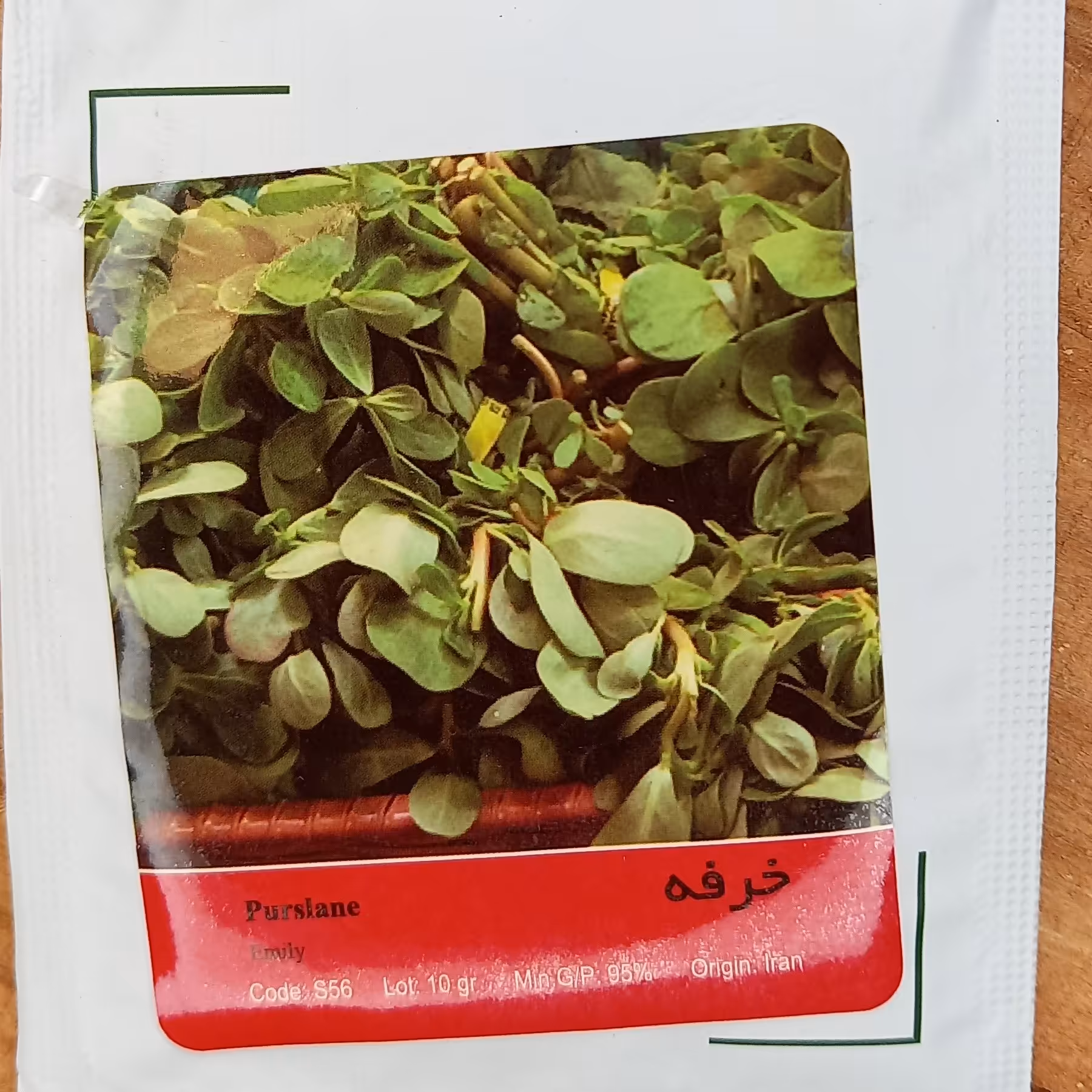 بذر سبزی خرفه پاکت کوچک خانگی 