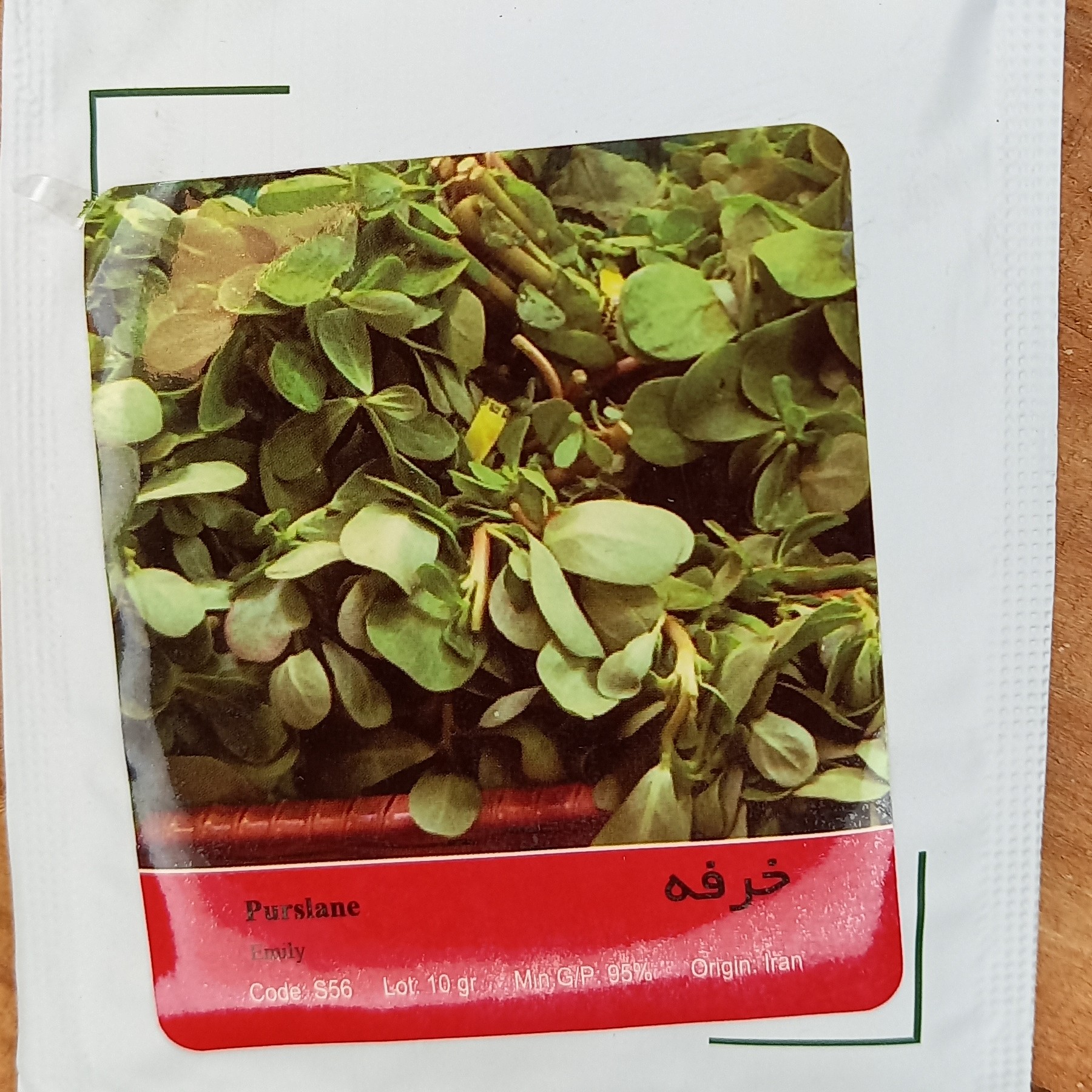 بذر سبزی خرفه پاکت کوچک خانگی