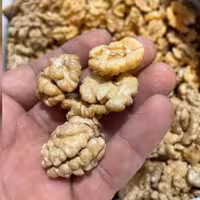 مغز گردوی اصل مرند آذربایجان شرقی