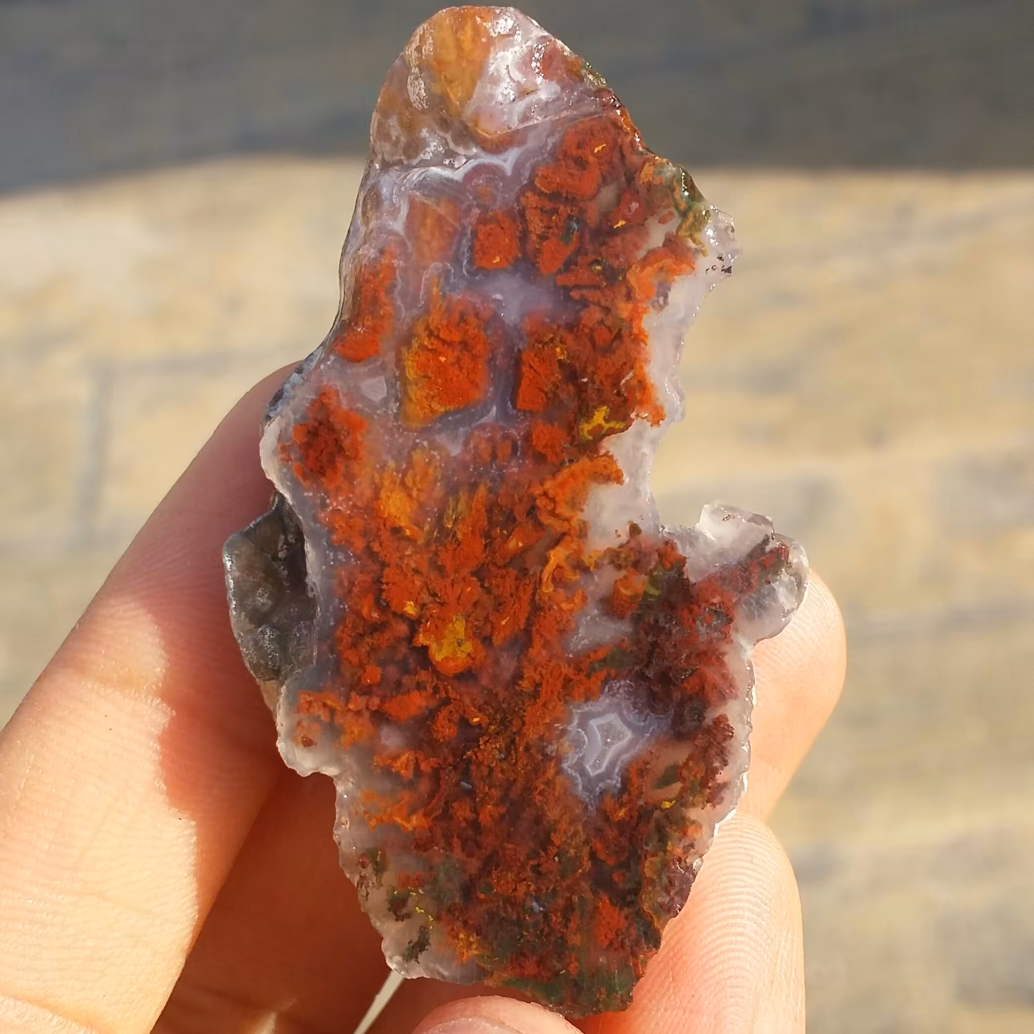 اسلایس سنگ راف حبه عقیق منظره 7رنگ محشر شاهکار خلقت دیدنییییی کاملا طبیعی
تابلو نقاشی طبیعی کد 8640