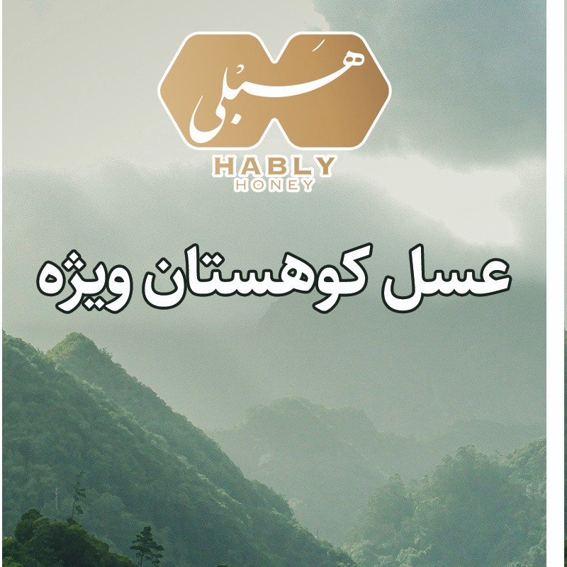 عسل چندگیاه کوهستان ویژه 600 گرمی