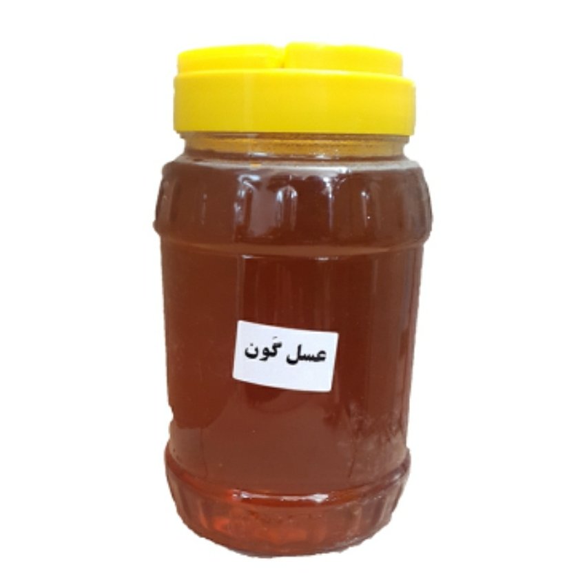 عسل طبیعی گون