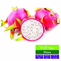 بذر میوه اژدها بذر طلایی رویان 