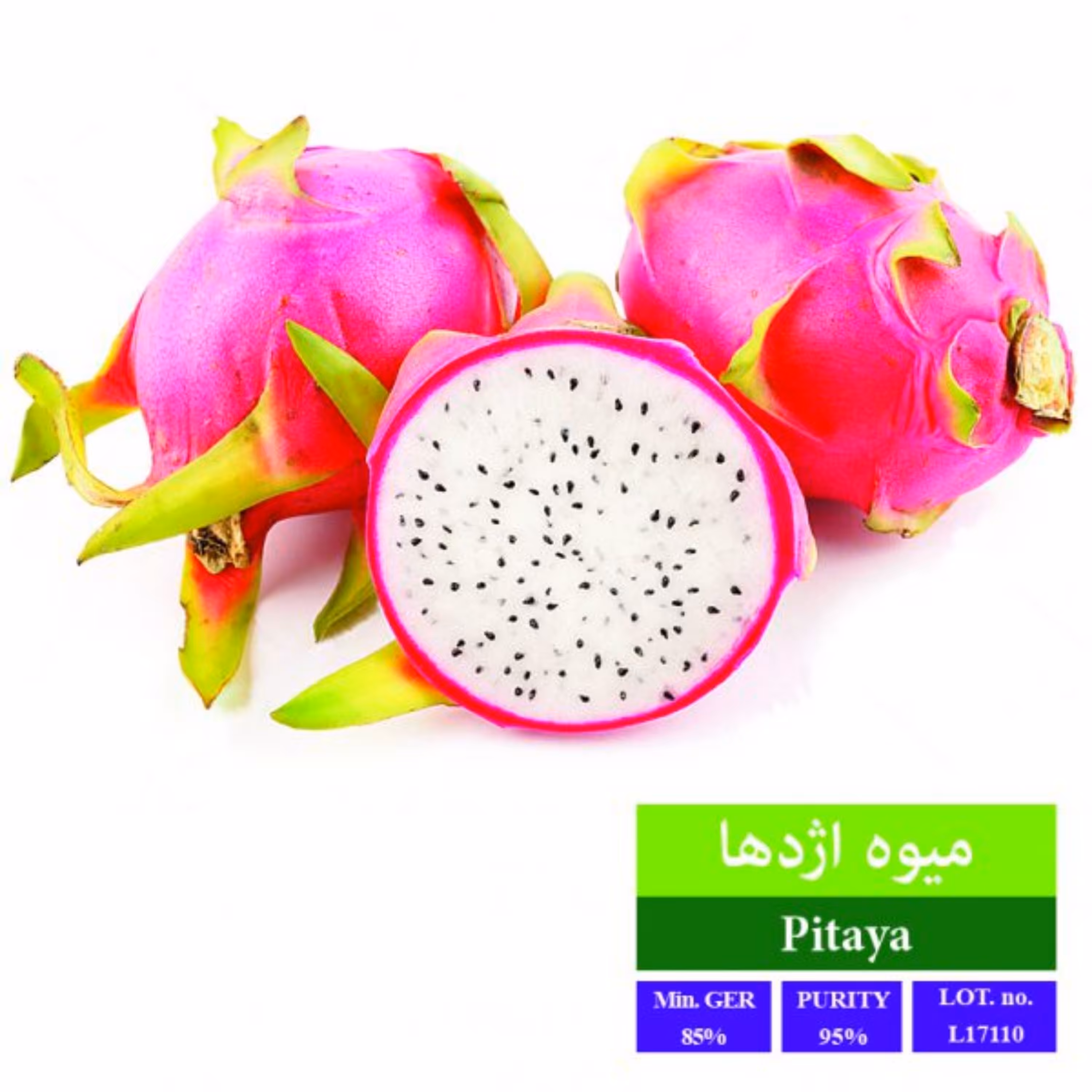 بذر میوه اژدها بذر طلایی رویان 