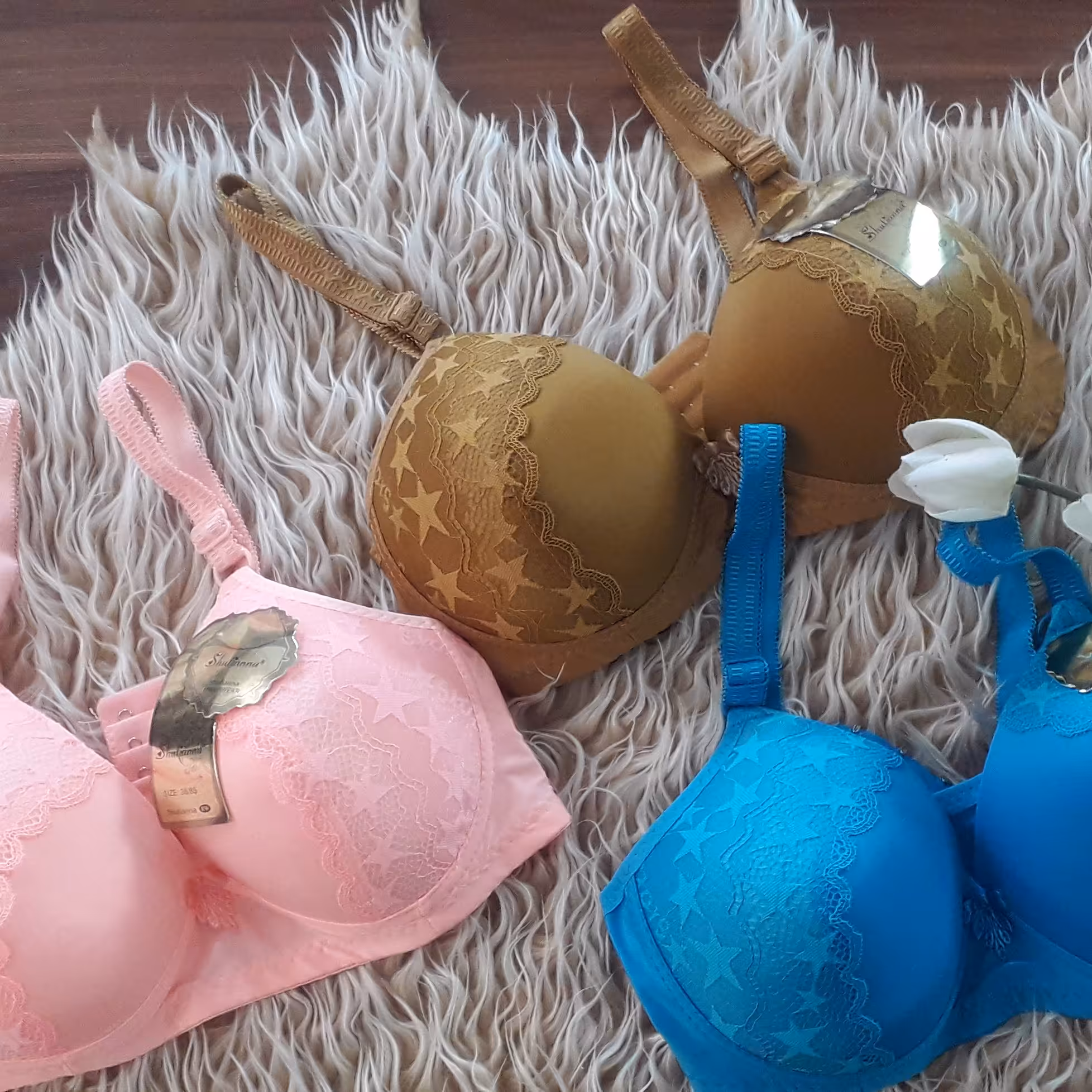 سوتین اسفنجی بدون فنر زنانه. کاپ b