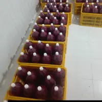 آب انار  طبیعی منجمد شده 10 لیتری درجه 1 (پس کرایه)