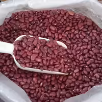 لوبیا قرمز دستچین  خوشپخت به شرط پزا ( تمیز و پاک شده)