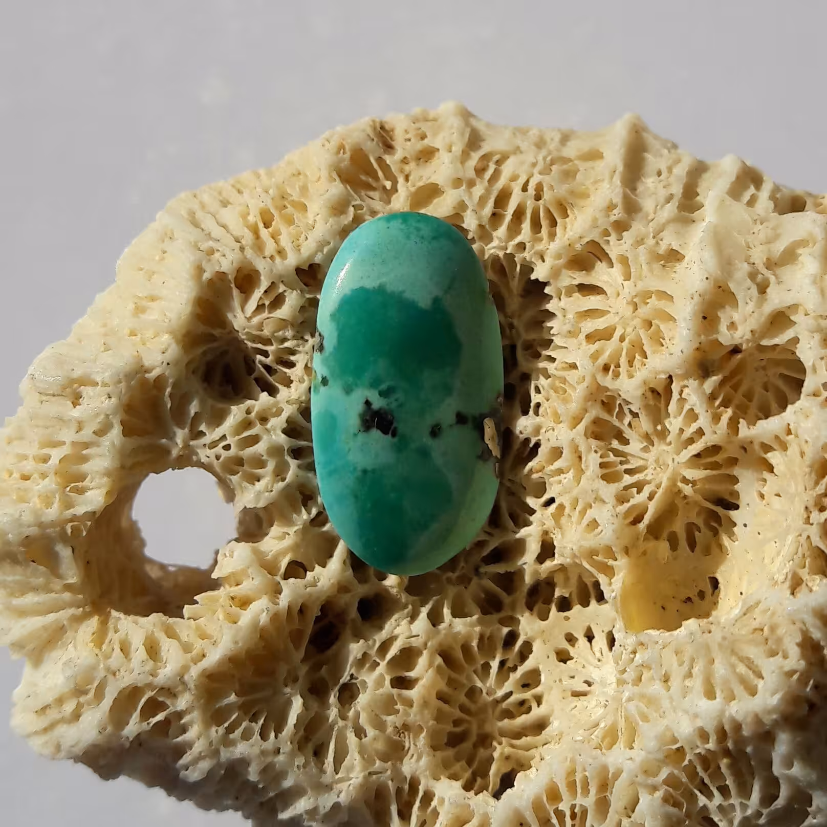 نگین فیروزه کرمان تمام مغز رگه طلا