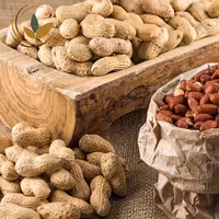 بادام زمبنی غلافدار آستانه شور درجه یک 250 گرمی اعلا  تضمین کیفیت