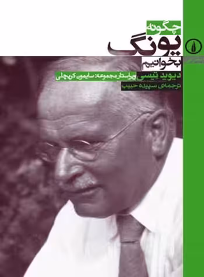چگونه یونگ بخوانیم - اثر دیوید تیسی - نشر نی - چی بخونم