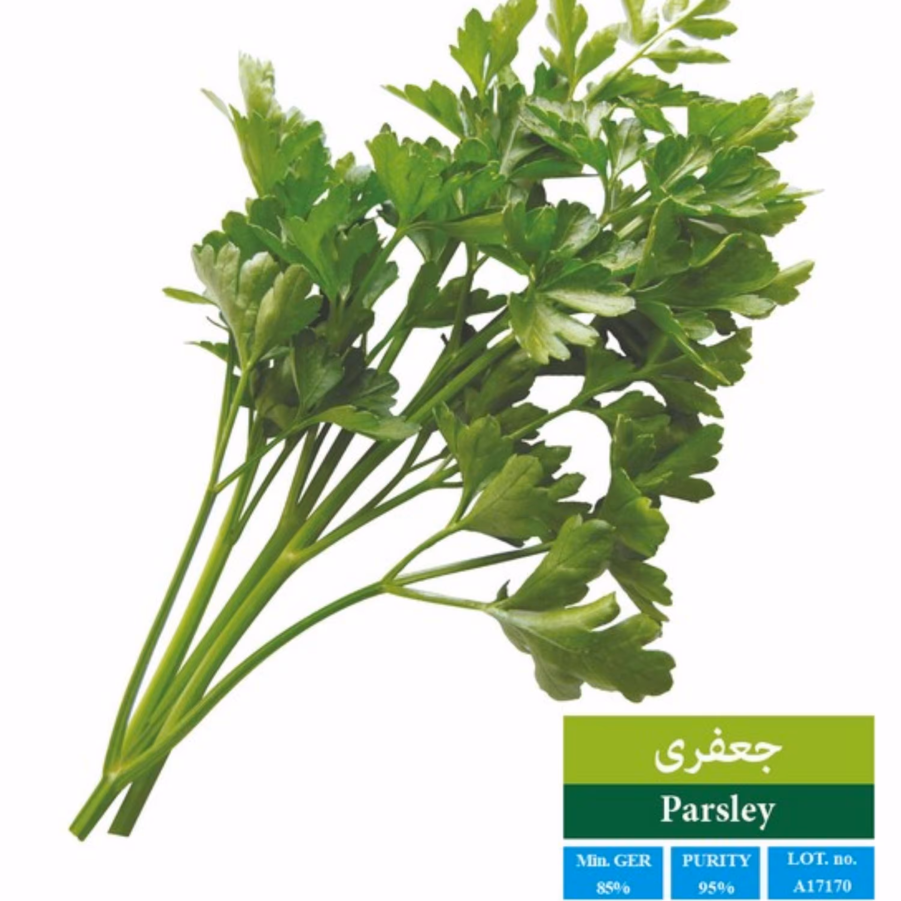 بذر جعفری بذر طلایی رویان(یک بسته)