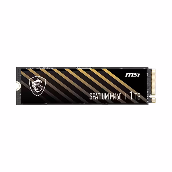 حافظه اس اس دی ام اس آی مدل Spatium M460 1TB