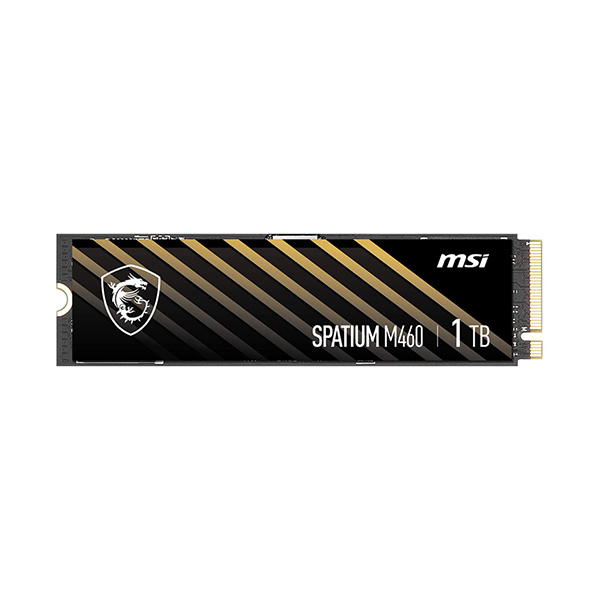 حافظه اس اس دی ام اس آی مدل Spatium M460 1TB