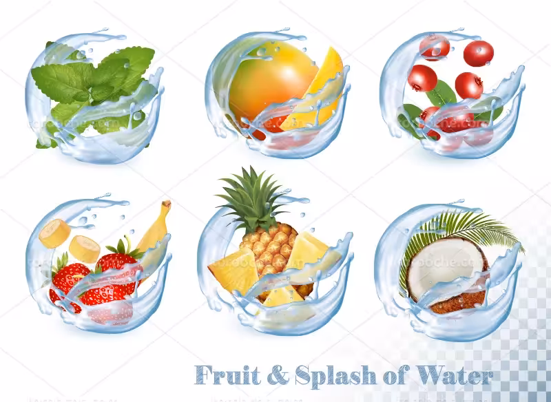 وکتور اسپلش آب و میوه تازه | گرافیک با طعم تربچه