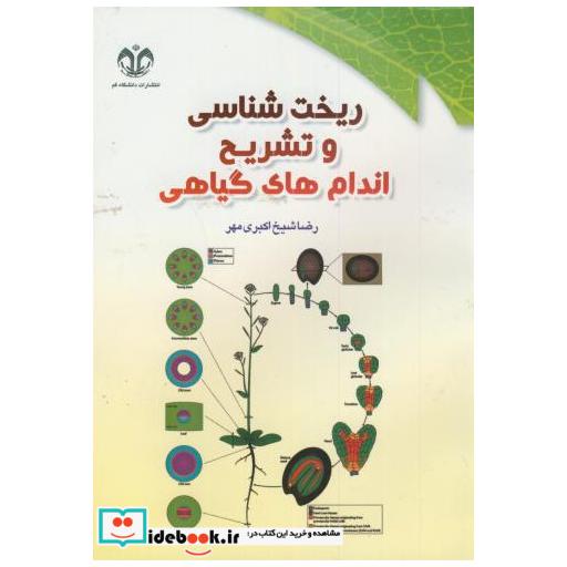 کتاب ریخت شناسی و تشریح اندام های گیاهی اثر رضا شیخ اکبری مهر
