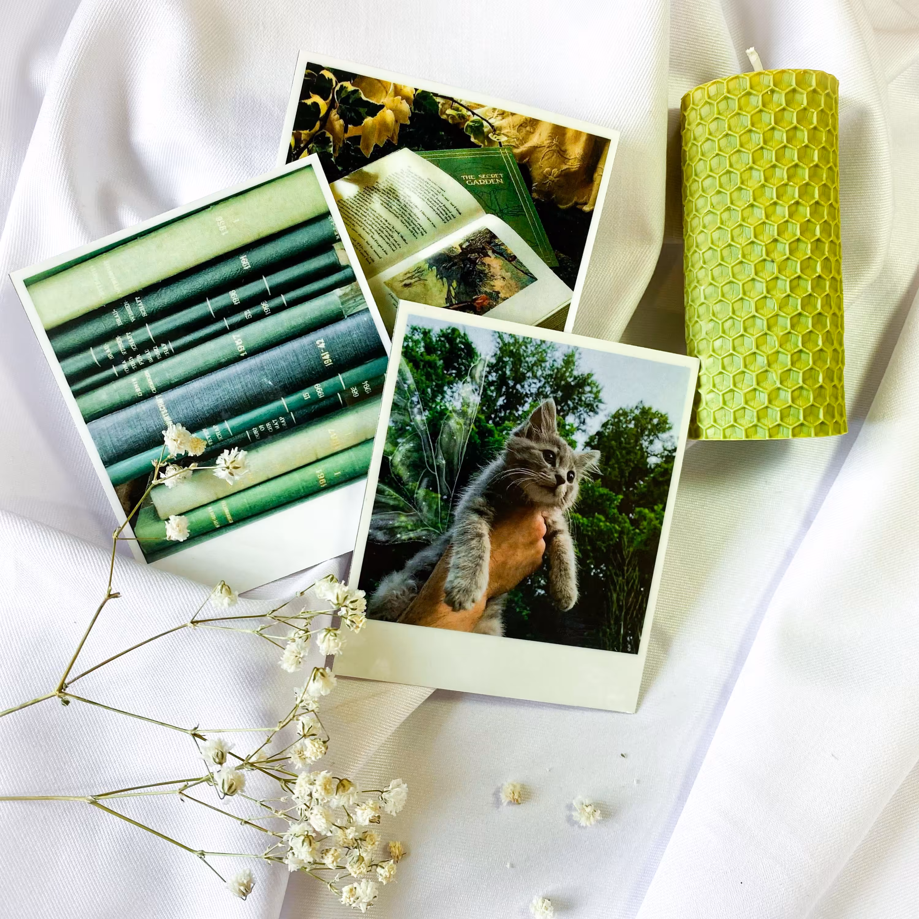 پک  12 تایی پولاروید لمینت شده کیوت و  سبز و aesthetic 