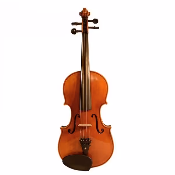 ویلن تی اف مدل Coreli