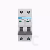 کلید مینیاتوری C دو پل 6A بروکس - فراز سیستم