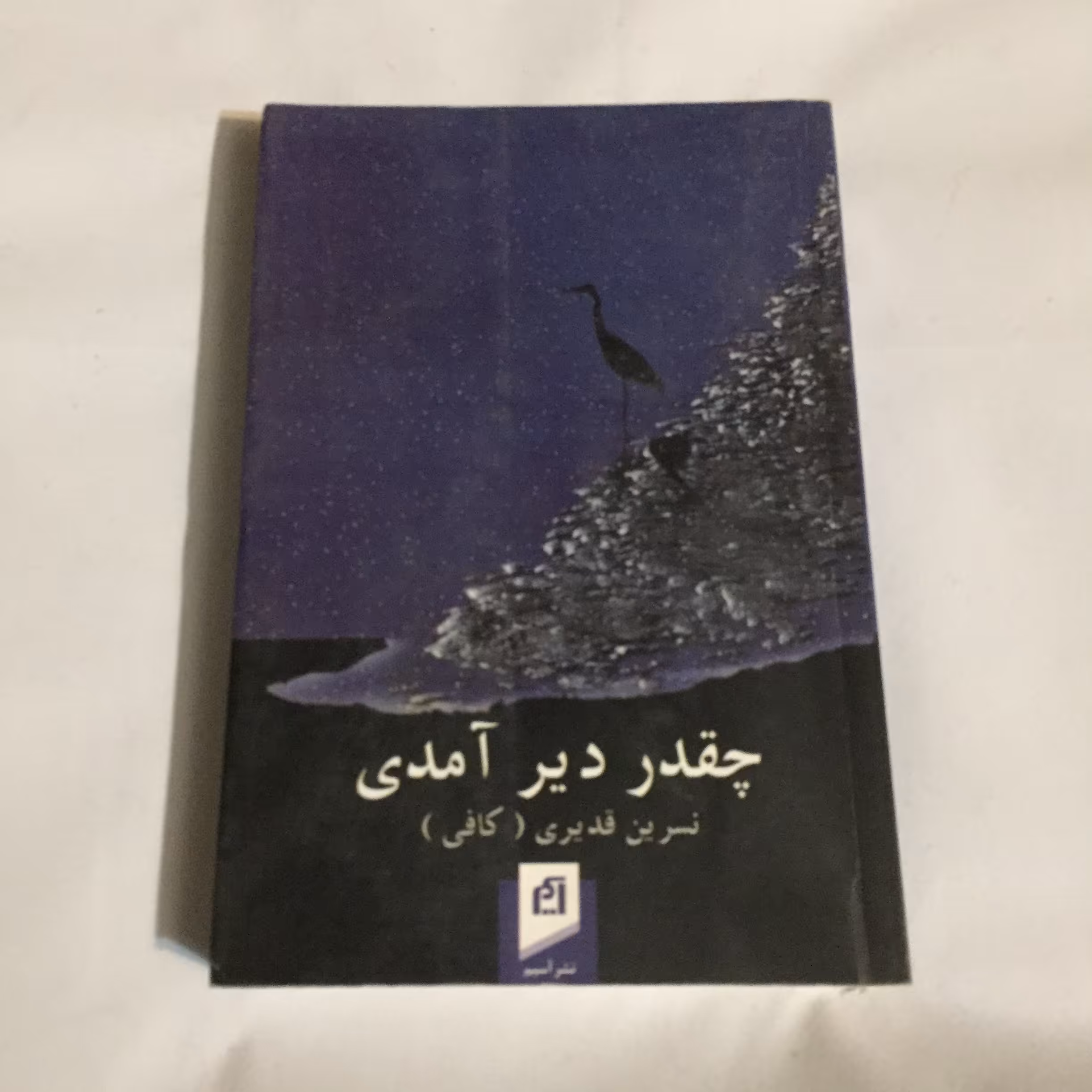 چقدر دیر آمدی	