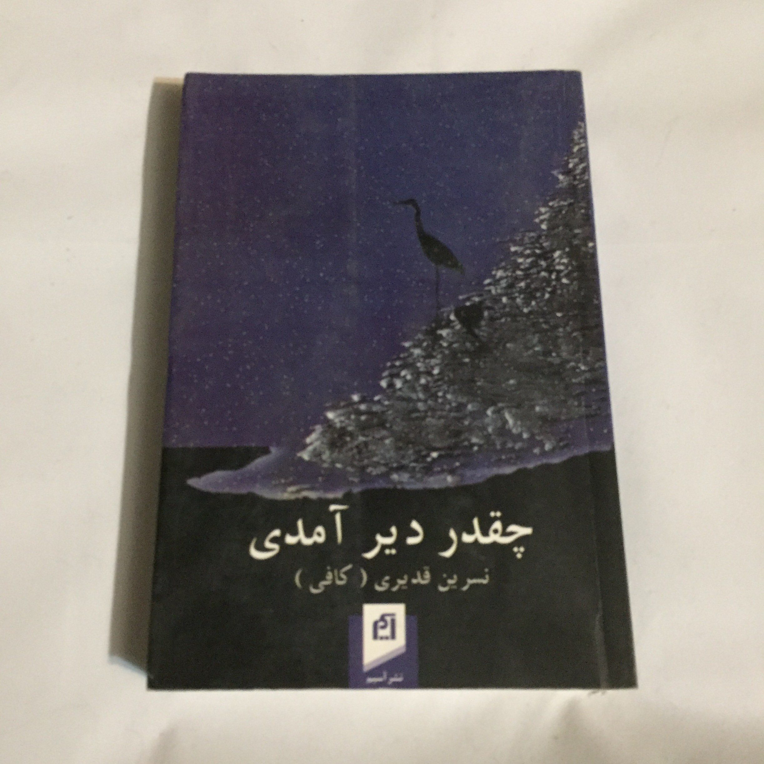 چقدر دیر آمدی