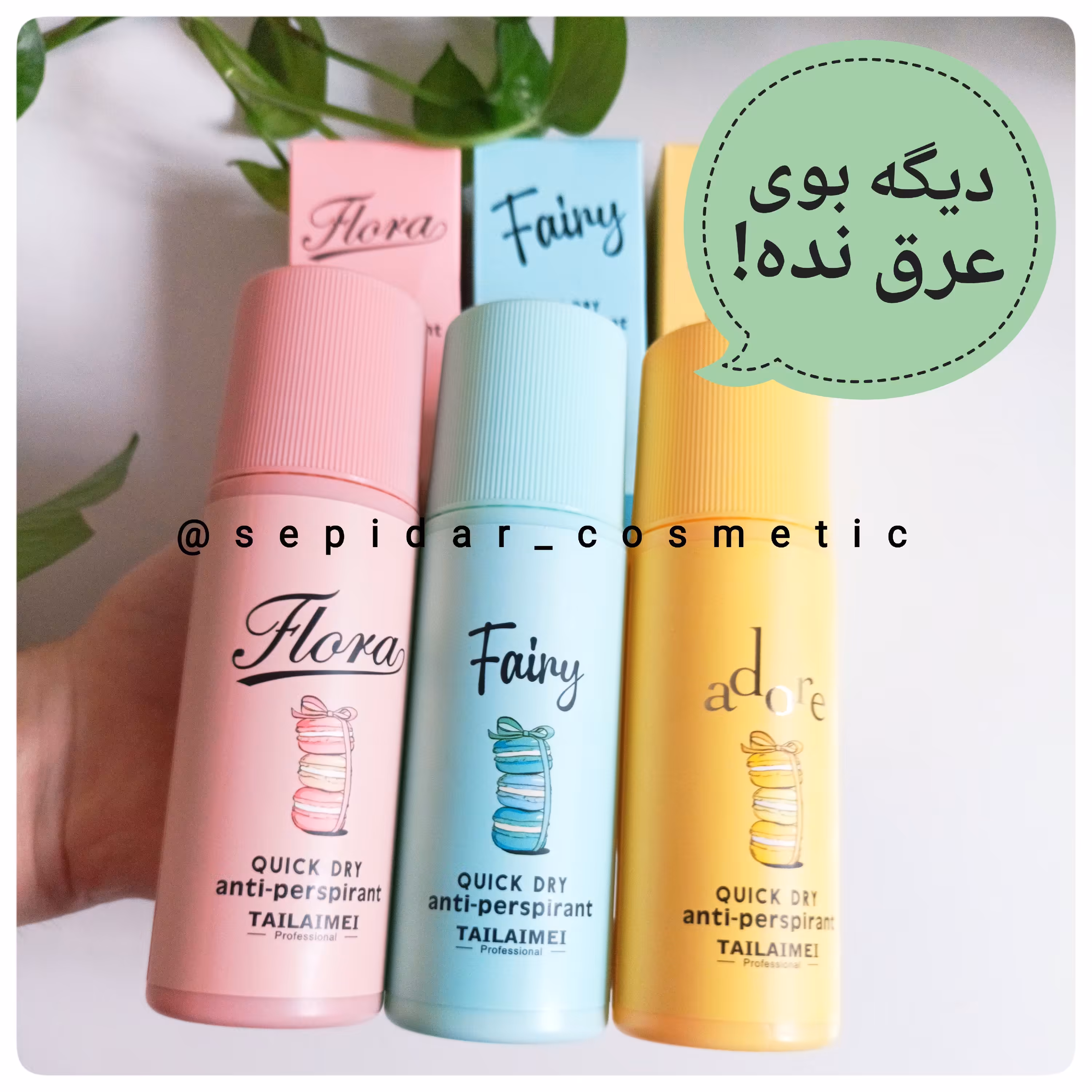 مام رولی طرح ماکارون تایلامی با رایحه ادکلن 24 ساعته