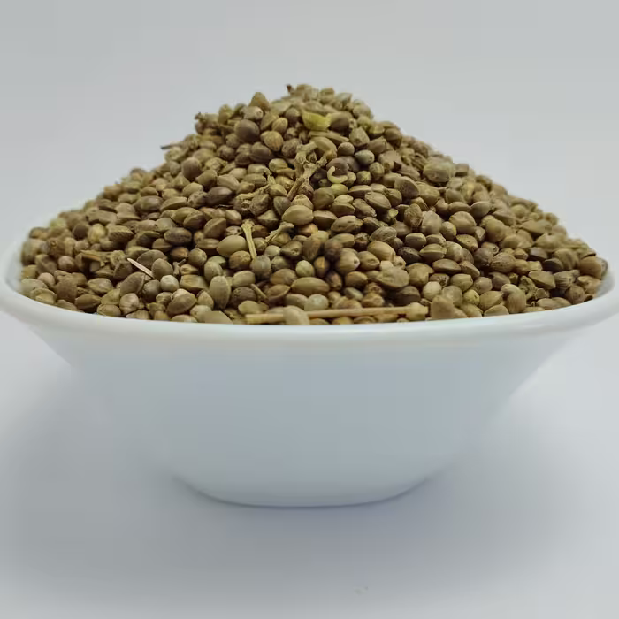 شاهدانه ( القنب ) ( Hemp ) ( Cannabis Sativa )