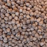 گردوی چرب ورکانه 1 کیلویی