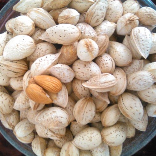 بادام محب پوست کاغذی تازه (1000گرمی)(ارسال رایگان)