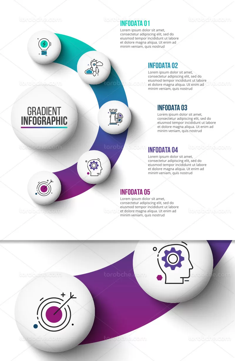 وکتور اینفوگرافیک رنگی 5 بخشی | گرافیک با طعم تربچه