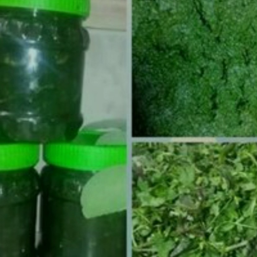 نمک سبز یا دلال یا دلار200گرمی