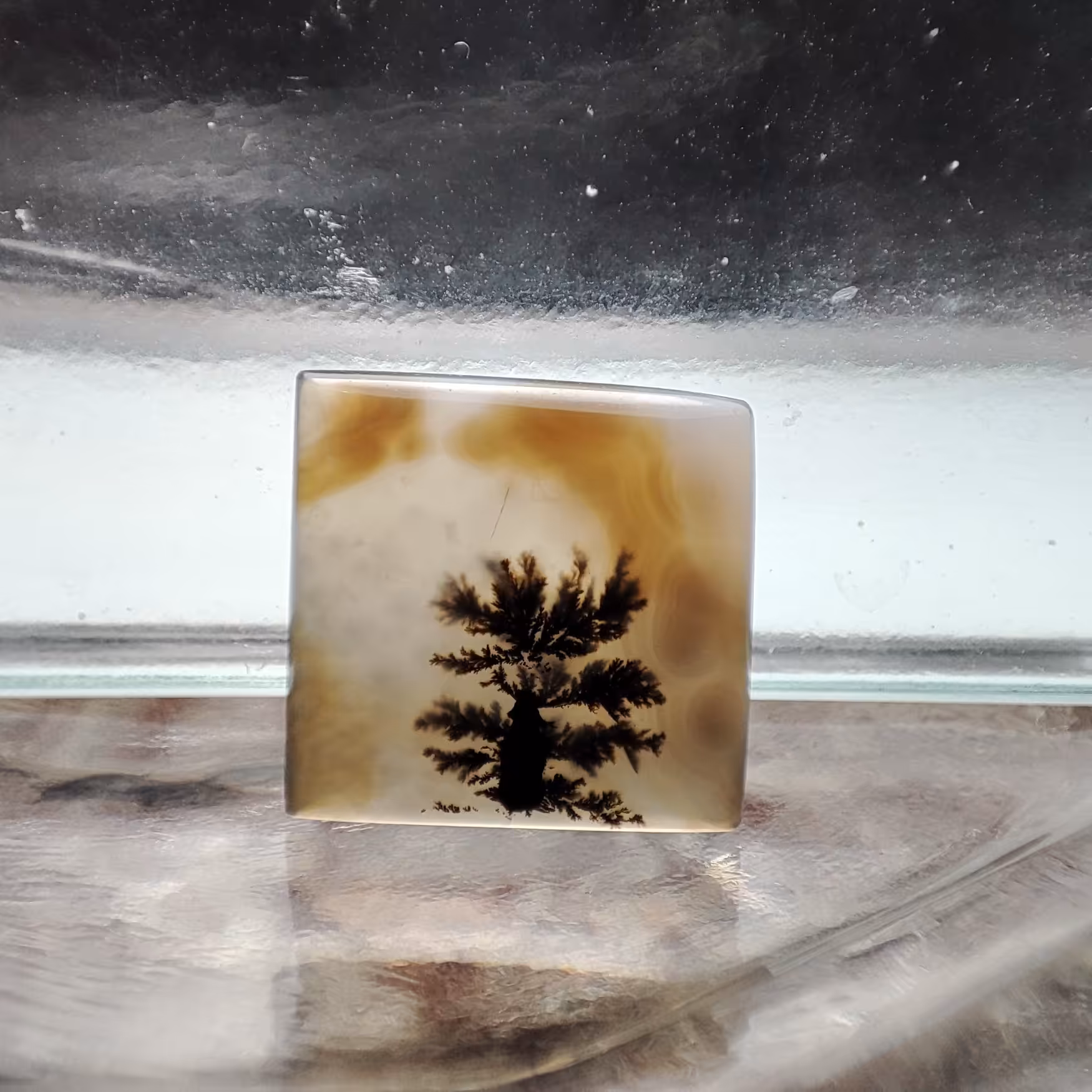 شجر قائن طبیعی و معدنی کد 927