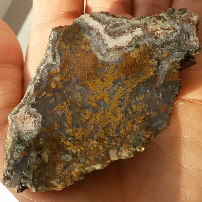 اسلایس سنگ راف شجر دریایی 7رنگ محشر 100 در 100 طبیعی بی نظیر و خاااص