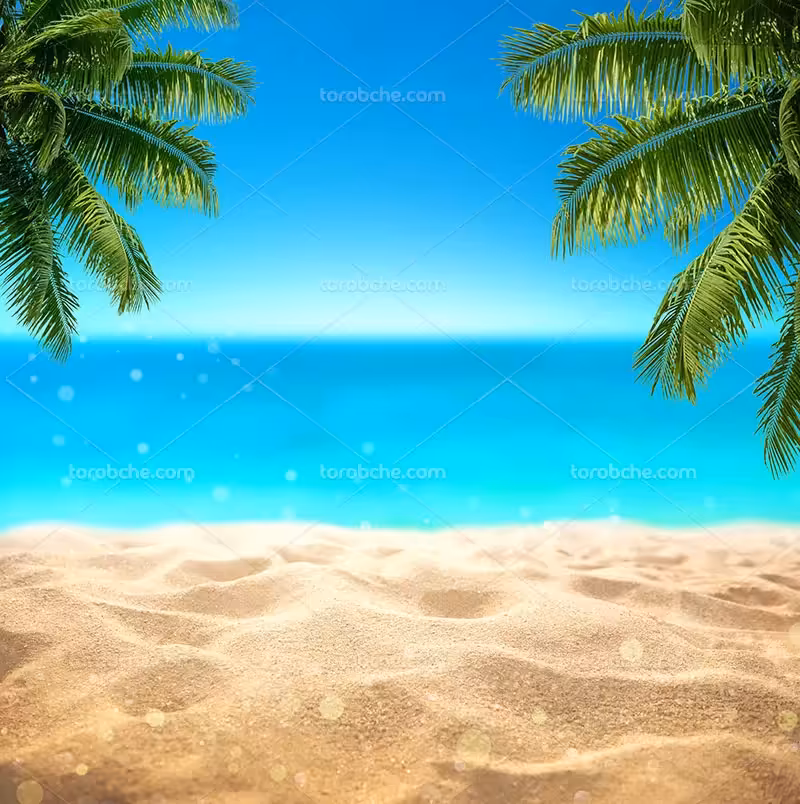 عکس ساحل | گرافیک با طعم تربچه