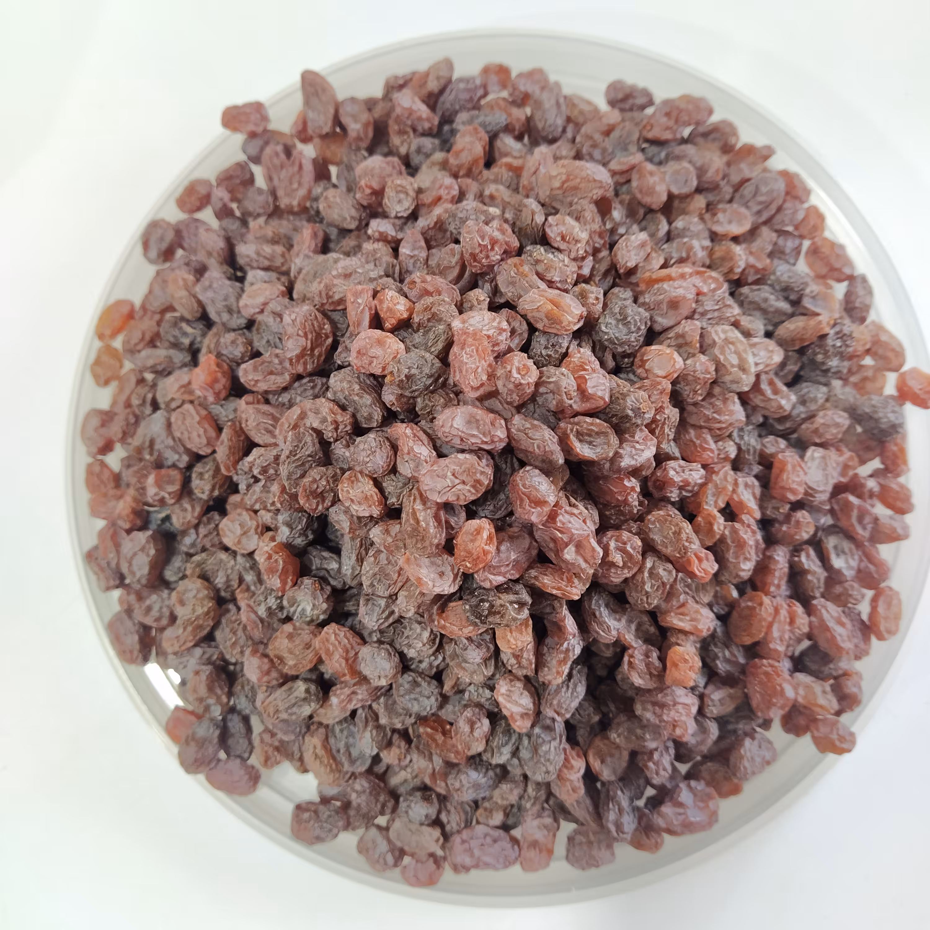 کشمش آفتاب خشک درجه یک و پاک شده امسالی بسته بندی یک کیلویی