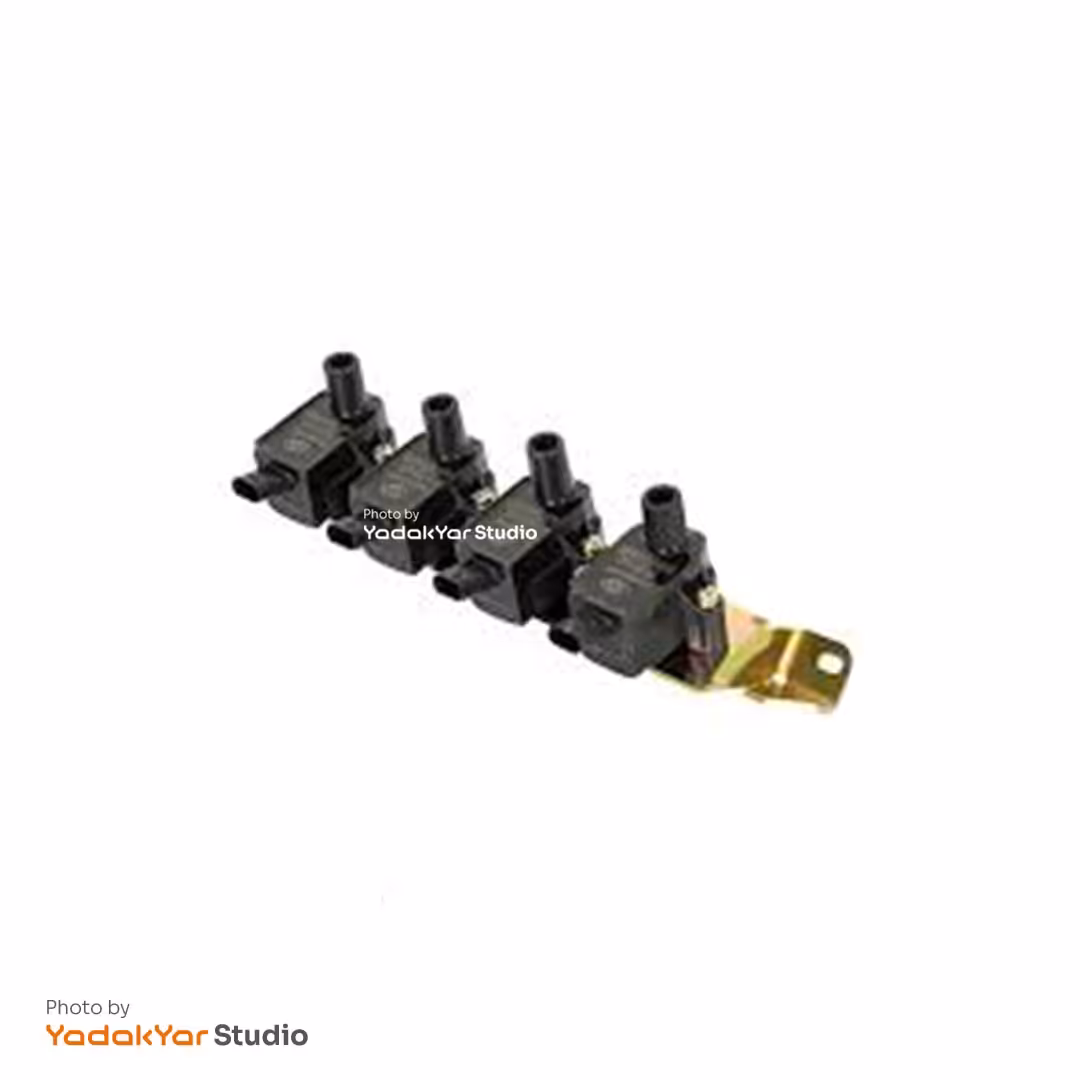 کوئل شاهین کروز