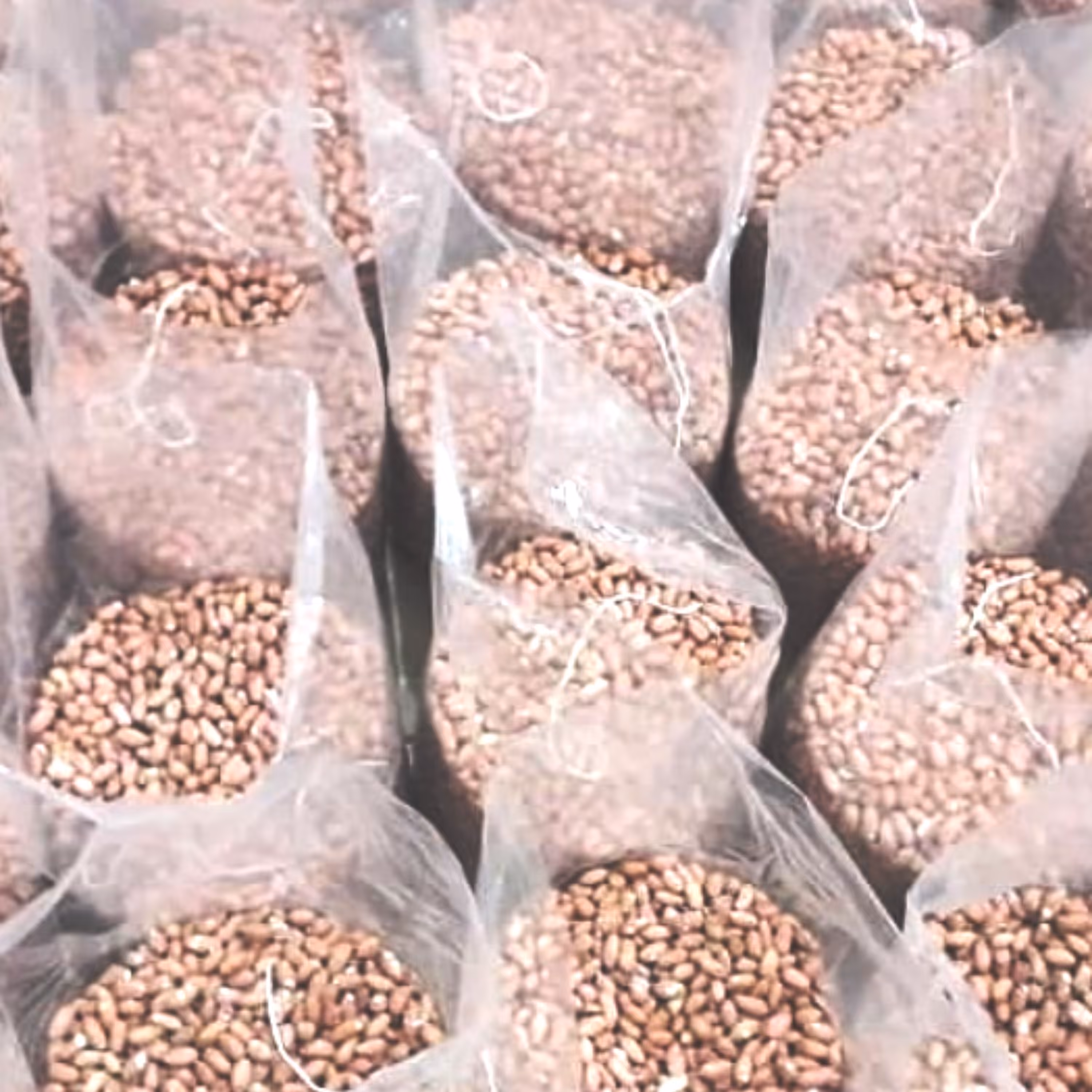 بادام زمینی محلی آستانه تازه ارسال رایگان