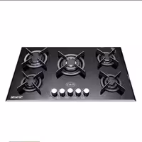 گاز رومیزی تی اند دی مدل TD166E(بیست و چهار ماه گارانتی)